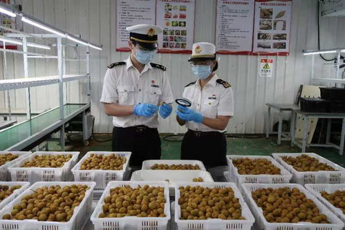 佛山海關深化服務家用電器企業長效機制 助力產業高質量發展