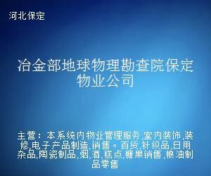 冶金部地球物理勘查院保定物業公司 日用雜品銷售業務概述